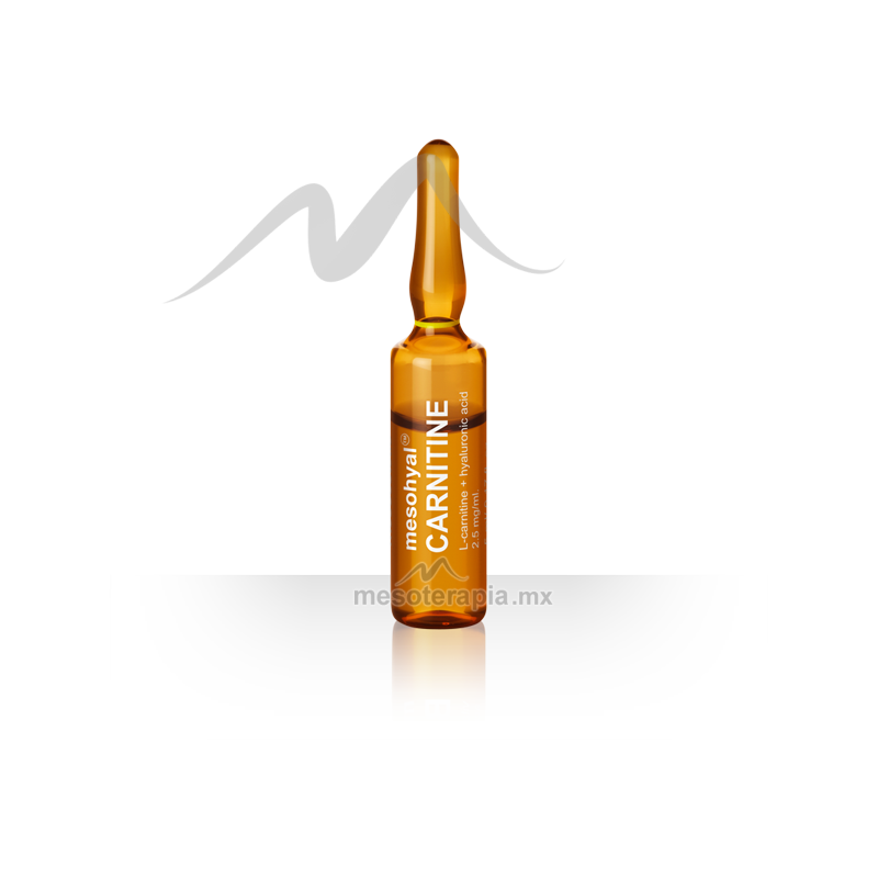 l-carnitine mesoestetic X.prof 012 L-carnitine: Mesotherapy Solution For Localized Fat Reduction | 20 X 5ml Ampoules acetyl l carnitine with food