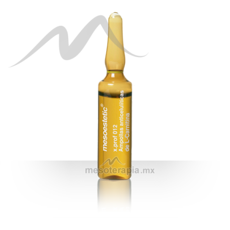 L-carnitina x.prof 012